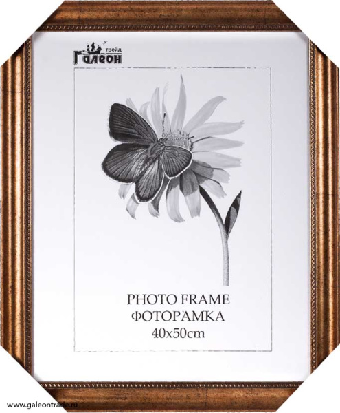 Фоторамка 40х50 /4205C-205A/