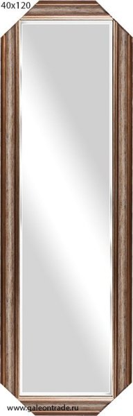 Зеркало в багете 40х120 /DS6509-769/