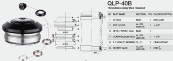 QLP-40B