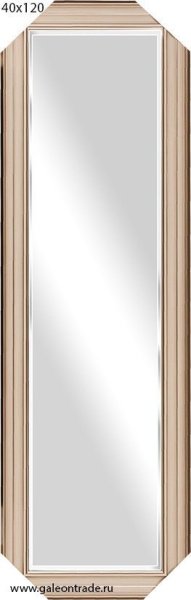 Зеркало в багете 40х120 / DS6507A-753/