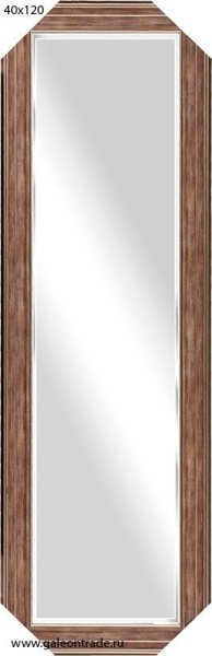 Зеркало в багете 40х120 /DS6509-763/
