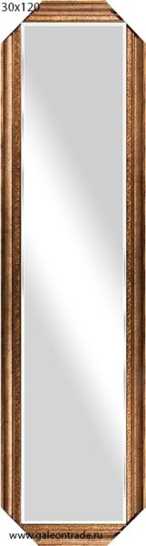 Зеркало в багете 30х120 /DS6507A-753/