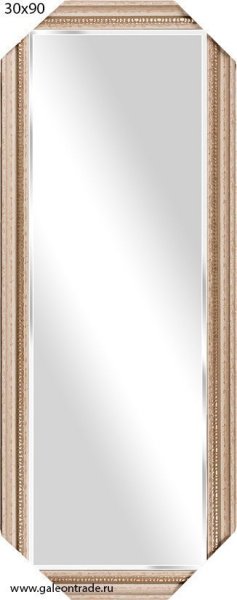 Зеркало в багете 30х90 / ZR5162-H219A40/
