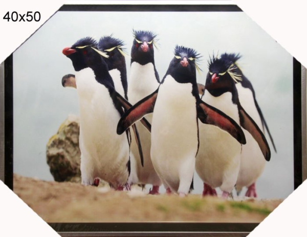 Постер в раме 40x50 Пингвины / HC-393/2002B-012C/